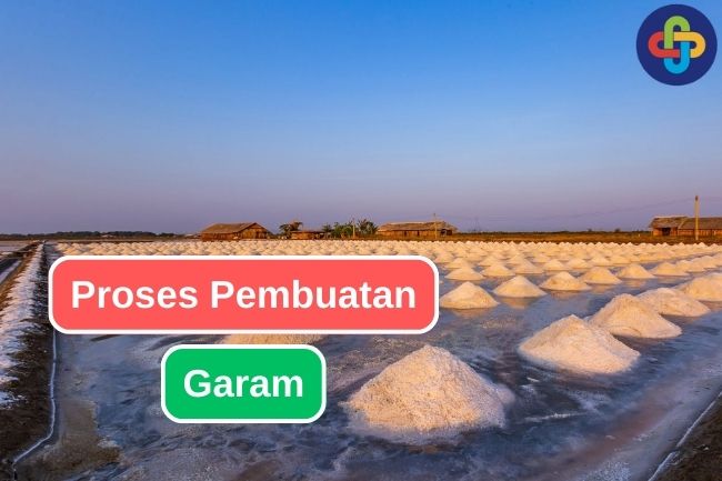 Beginilah Proses Pembuatan Garam dari Air Laut